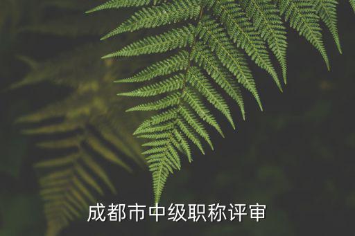 成都市2018年度中級職稱評審公示，成都市中級職稱評審
