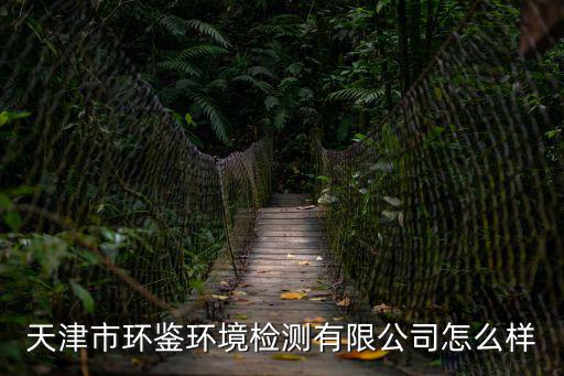 天津市環鑒環境檢測有限公司怎么樣