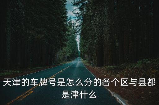 天津的車牌號是怎么分的各個區與縣都是津什么