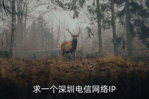 求一個深圳電信網絡IP