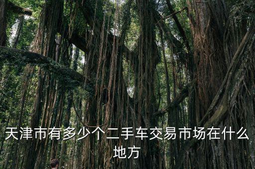 天津市有多少個二手車交易市場在什么地方