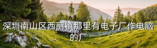 深圳南山區西麗鎮那里有電子廠作電腦的廠