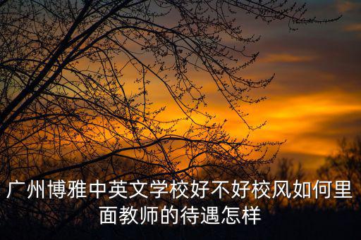 廣州博雅中英文學校好不好校風如何里面教師的待遇怎樣