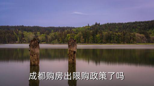 成都購(gòu)房出限購(gòu)政策了嗎