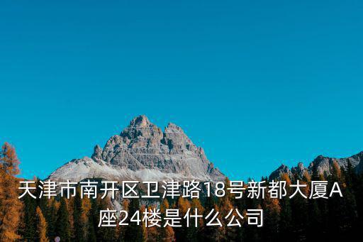 天津市南開區(qū)衛(wèi)津路18號新都大廈A座24樓是什么公司