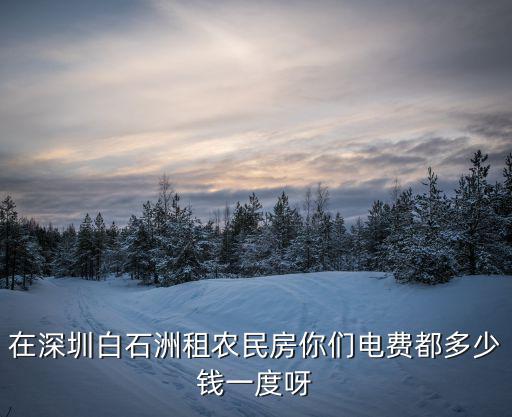 深圳農(nóng)民房水電費(fèi)，在深圳白石洲租農(nóng)民房你們電費(fèi)都多少錢一度呀