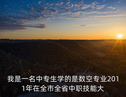 成都市中職生職業技能大賽，我是一名中專生學的是數空專業2011年在全市全省中職技能大
