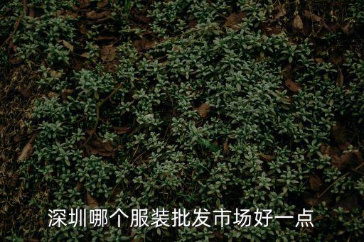 深圳哪個服裝批發市場好一點