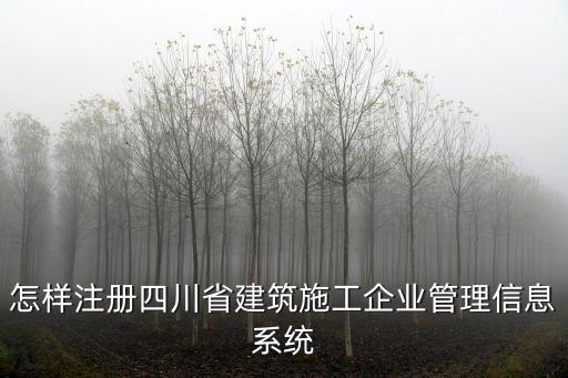 怎樣注冊四川省建筑施工企業管理信息系統