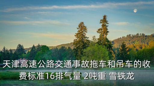 天津高速公路交通事故拖車和吊車的收費標準16排氣量 2噸重 雪鐵龍