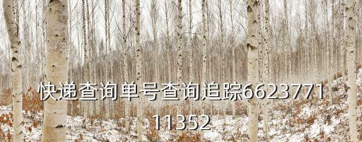 快遞查詢單號查詢追蹤662377111352