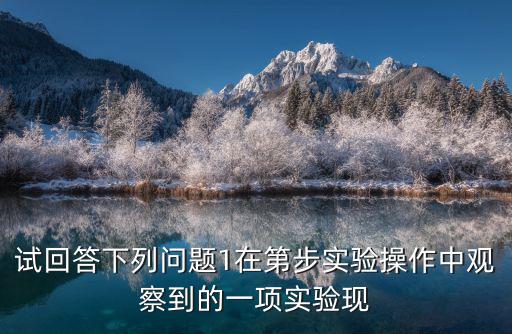 試回答下列問題1在第步實驗操作中觀察到的一項實驗現