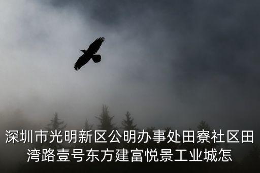 深圳光明新區田夫，圳市光明新區公明街道田寮洋田第三工業區具體地址是在田寮哪里  搜