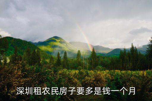 深圳租農民房子要多是錢一個月