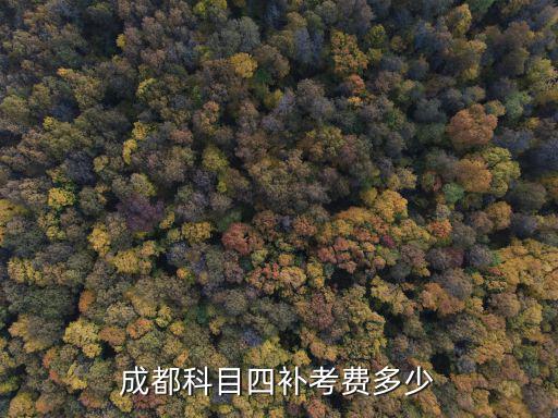 成都科目四補考費多少