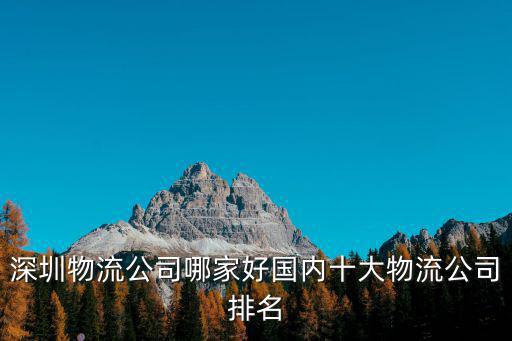 深圳物流公司哪家好國內(nèi)十大物流公司排名