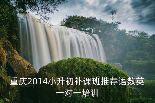 重慶2014小升初補課班推薦語數英一對一培訓