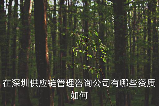 在深圳供應(yīng)鏈管理咨詢公司有哪些資質(zhì)如何