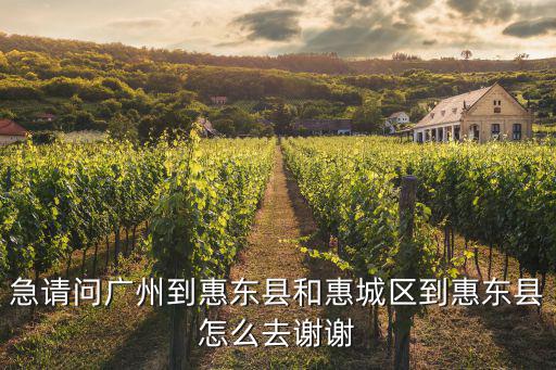 廣州到惠東怎么包車，廣州到惠東到東莞