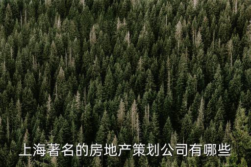 上海著名的房地產策劃公司有哪些