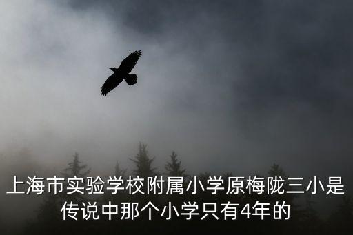 上海市實驗學校附屬小學校長，普陀萬里城實驗小學的現任校長是誰