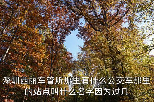 深圳西麗車管所那里有什么公交車那里的站點叫什么名字因為過幾