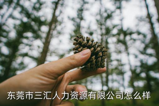 東莞市三匯人力資源有限公司怎么樣