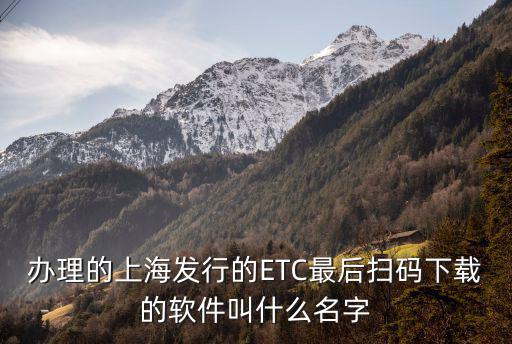 上海市新推行交通卡app，上海交通卡