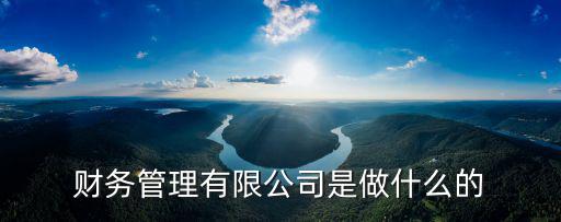 財務管理有限公司是做什么的