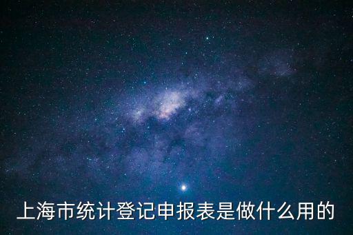 上海市統計登記申報表是做什么用的