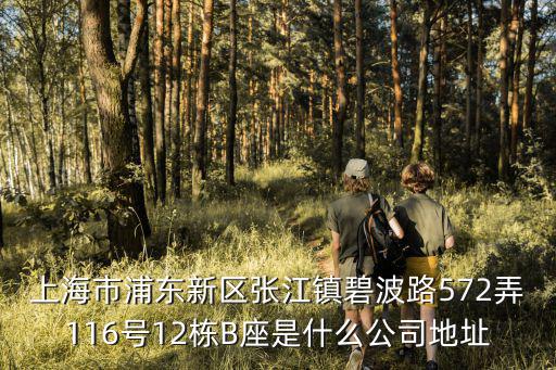 上海市久優(yōu)化工科技有限公司，上海市凱旋路3500號2號樓24樓a 是什么公司