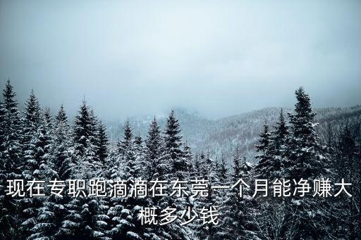 現在專職跑滴滴在東莞一個月能凈賺大概多少錢