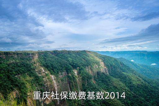 重慶社保繳費(fèi)基數(shù)2014