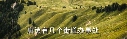 上海市唐鎮(zhèn)有多少個(gè)村，唐鎮(zhèn)有幾個(gè)街道辦事處