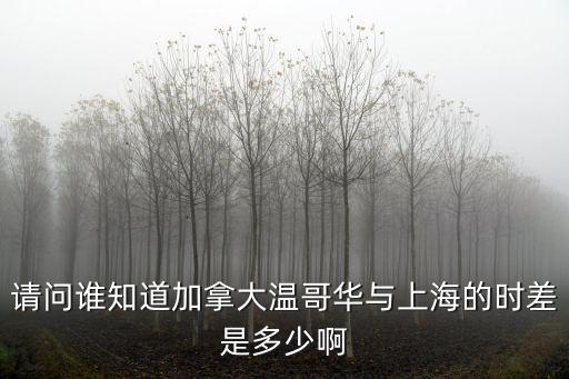 請問誰知道加拿大溫哥華與上海的時差是多少啊