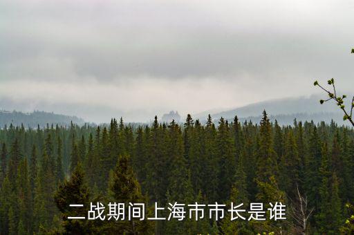 二戰(zhàn)期間上海市市長是誰