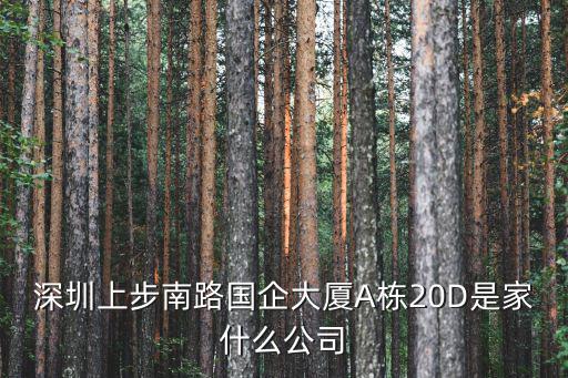 深圳上步南路國(guó)企大廈A棟20D是家什么公司
