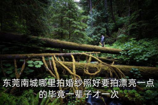 東莞南城哪里拍婚紗照好要拍漂亮一點的畢竟一輩子才一次