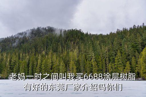 老媽一時之間叫我買6688涂層樹脂有好的東莞廠家介紹嗎你們
