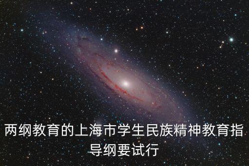兩綱教育的上海市學生民族精神教育指導綱要試行