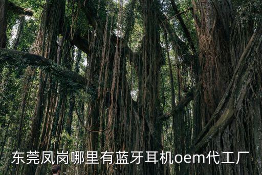 東莞鳳崗哪里有藍牙耳機oem代工廠