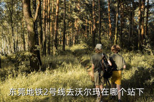 東莞地鐵2號線去沃爾瑪在哪個站下