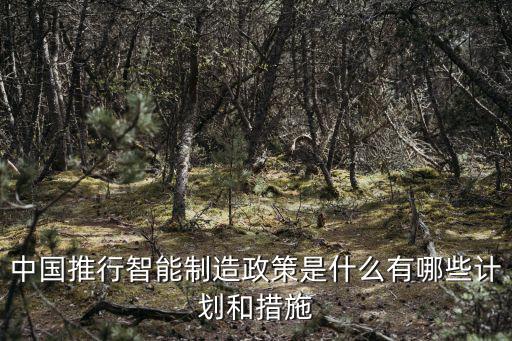中國推行智能制造政策是什么有哪些計劃和措施