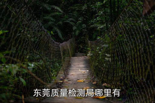 東莞質量檢測局哪里有