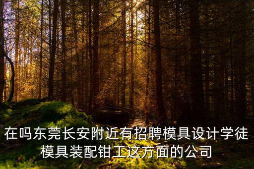 在嗎東莞長安附近有招聘模具設(shè)計(jì)學(xué)徒模具裝配鉗工這方面的公司