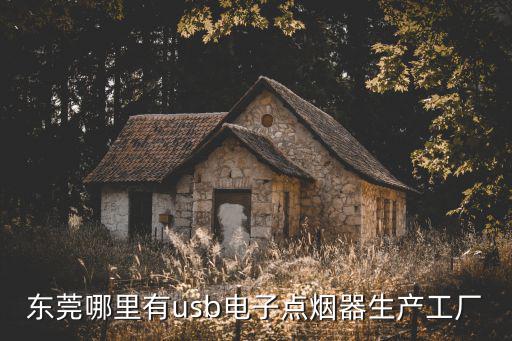 東莞哪里有usb電子點煙器生產(chǎn)工廠