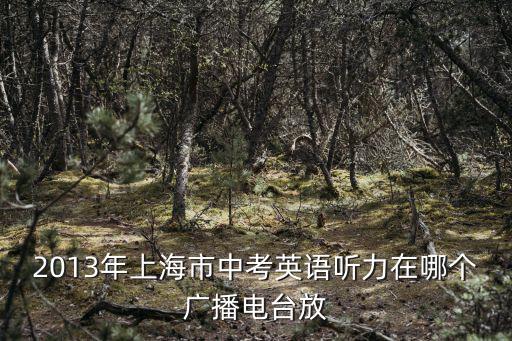 2013年上海市中考英語聽力在哪個(gè)廣播電臺放