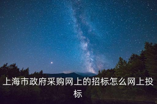 上海市政府采購網上的招標怎么網上投標