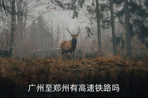 廣州至鄭州有高速鐵路嗎