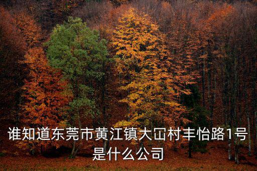 誰(shuí)知道東莞市黃江鎮(zhèn)大冚村豐怡路1號(hào)是什么公司